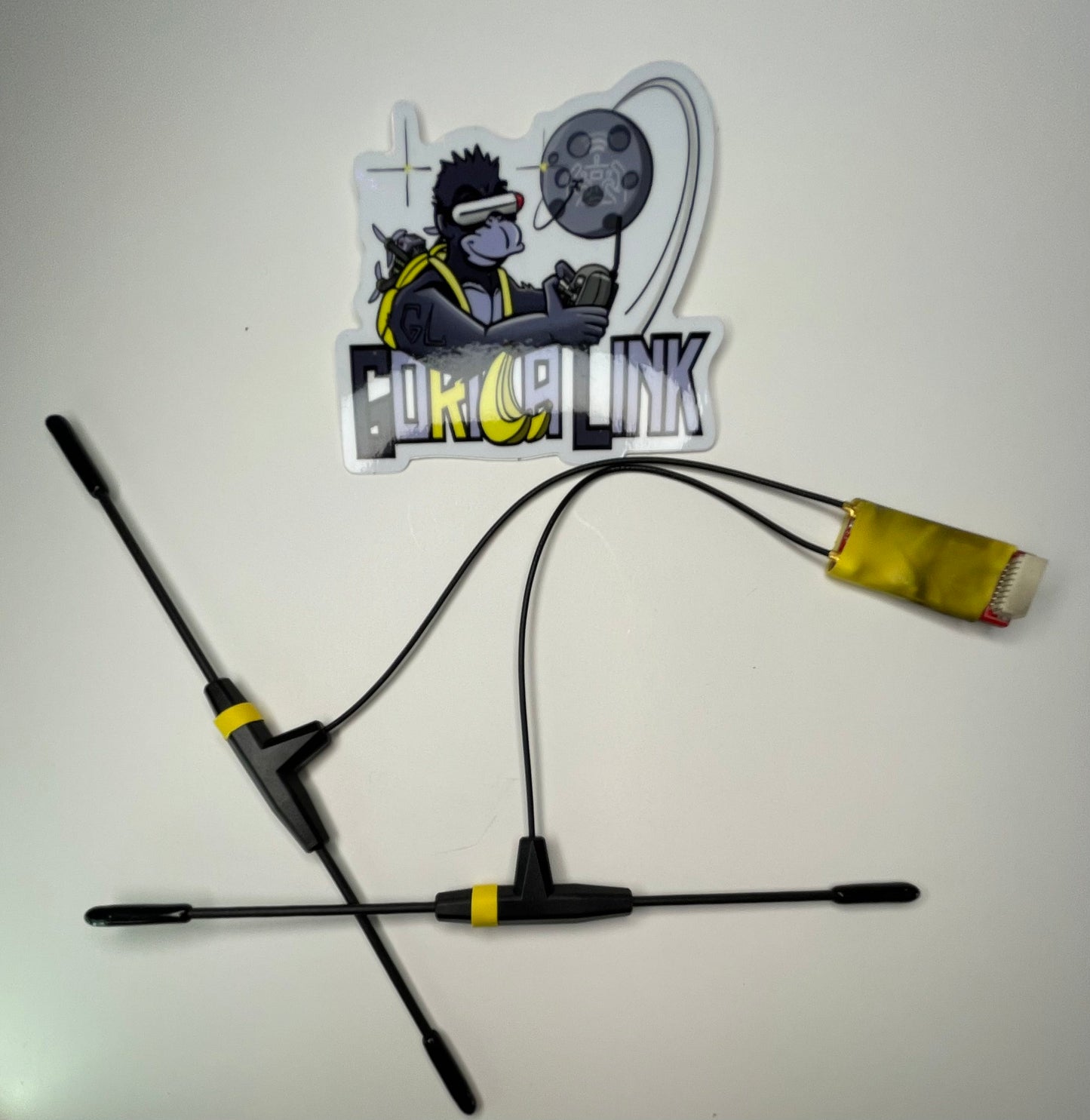 BOTH THINGS! The Transmitter (Legacy) and Diversity Receiver COMBO TX/RX Bind and FLY!